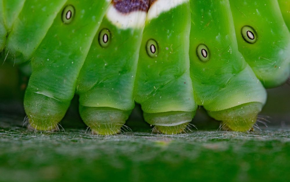 Photograph by Овечкин Павел