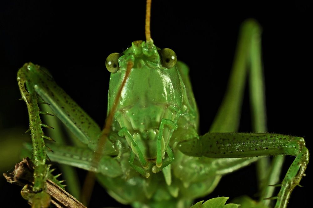 Photograph by Овечкин Павел