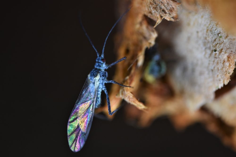 Photograph by Овечкин Павел