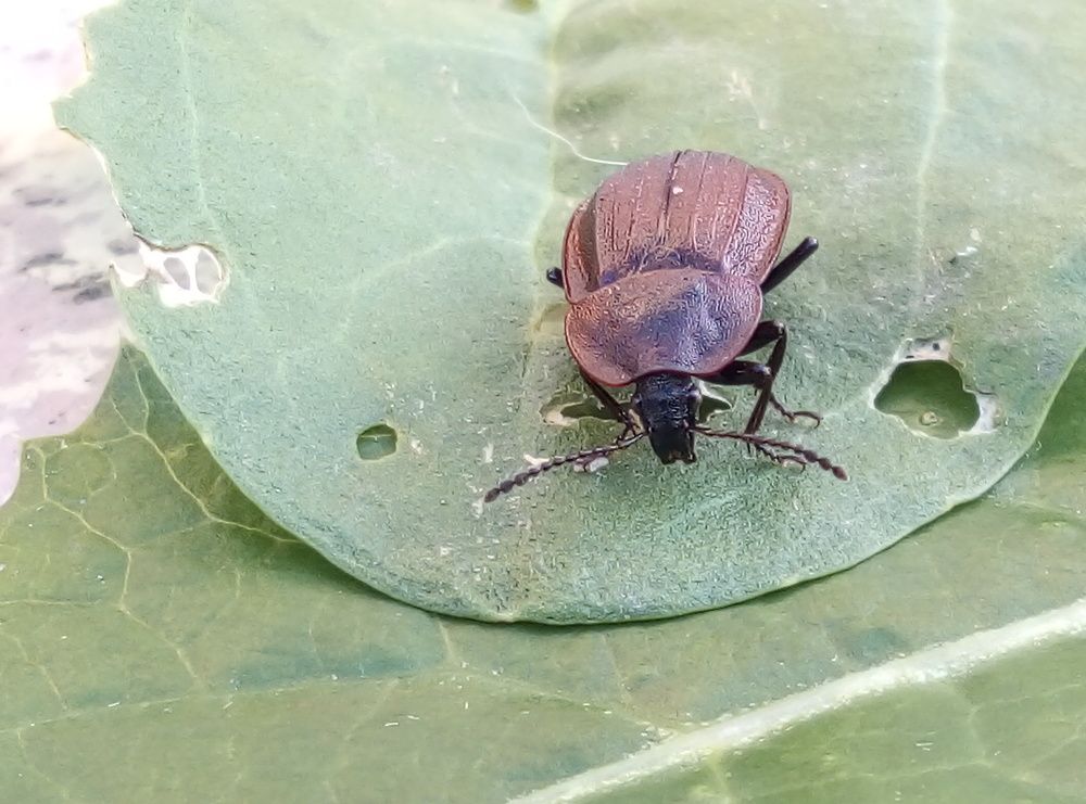 Photograph by Евгений Артемьев