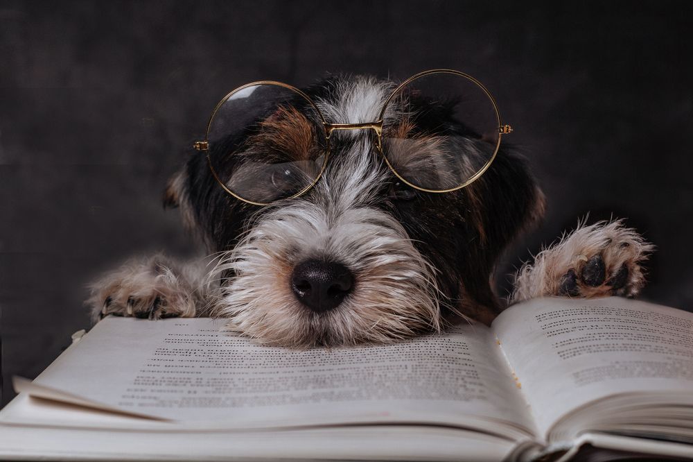 Photograph by Оксана Лукшина