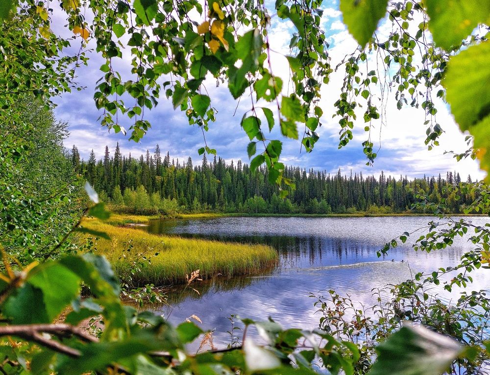 Photograph by Александр Бакин