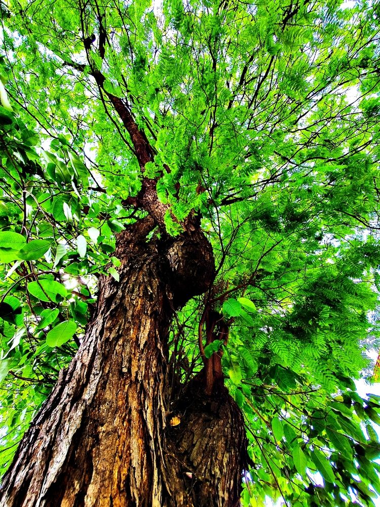 Photograph by Régis Santos