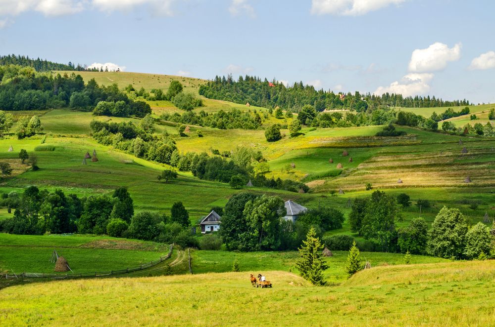 Photograph by Евгений Каримов