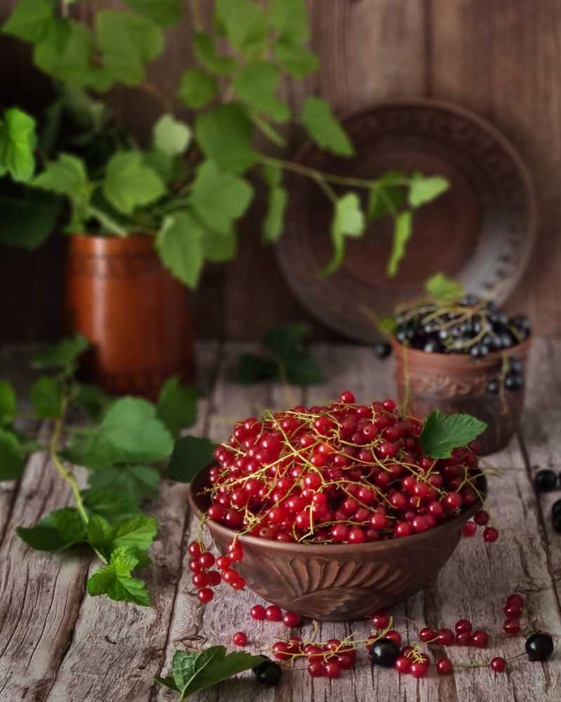 Photograph by Людмила Григорьева