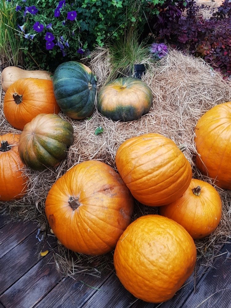 Photograph by Алла Никушкина