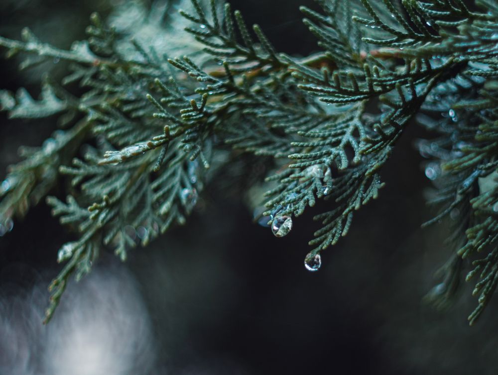 Photograph by Анатолий Щербак