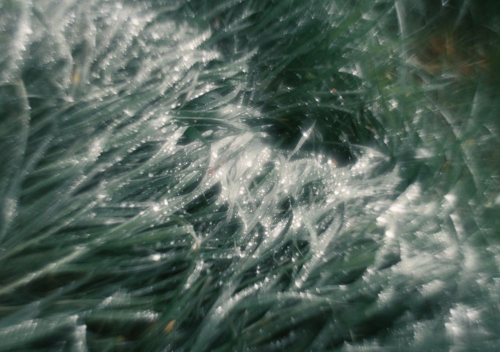 Photograph by Анатолий Щербак