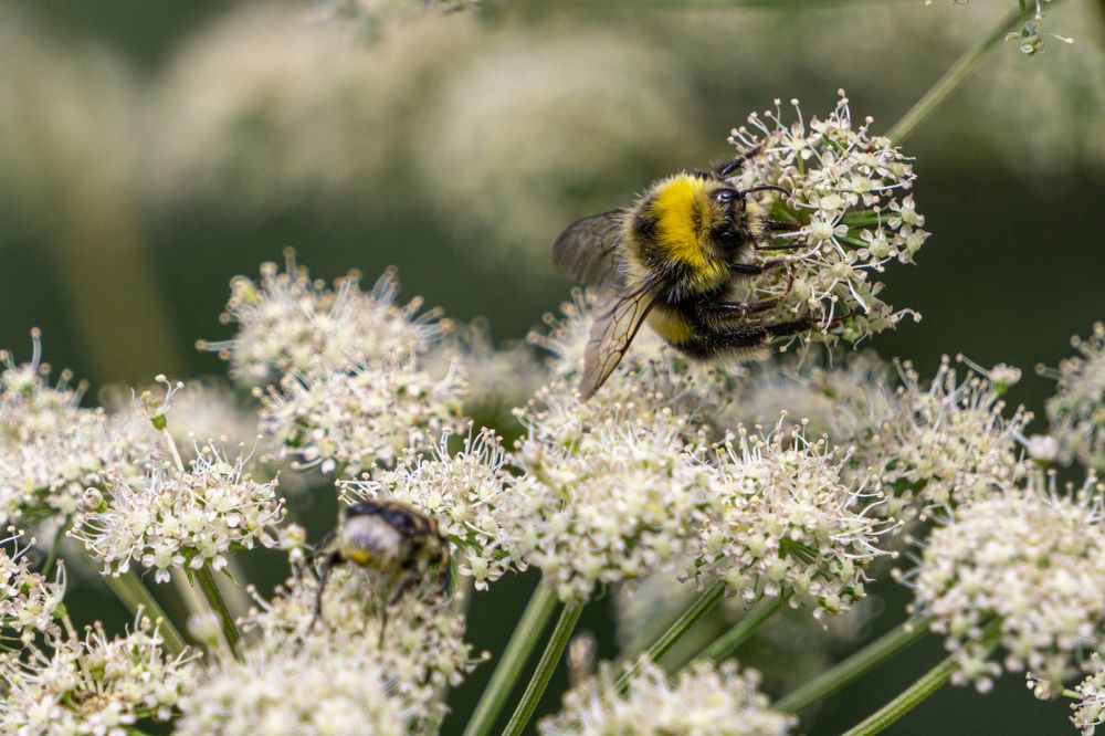 Photograph by Александр Ходакин