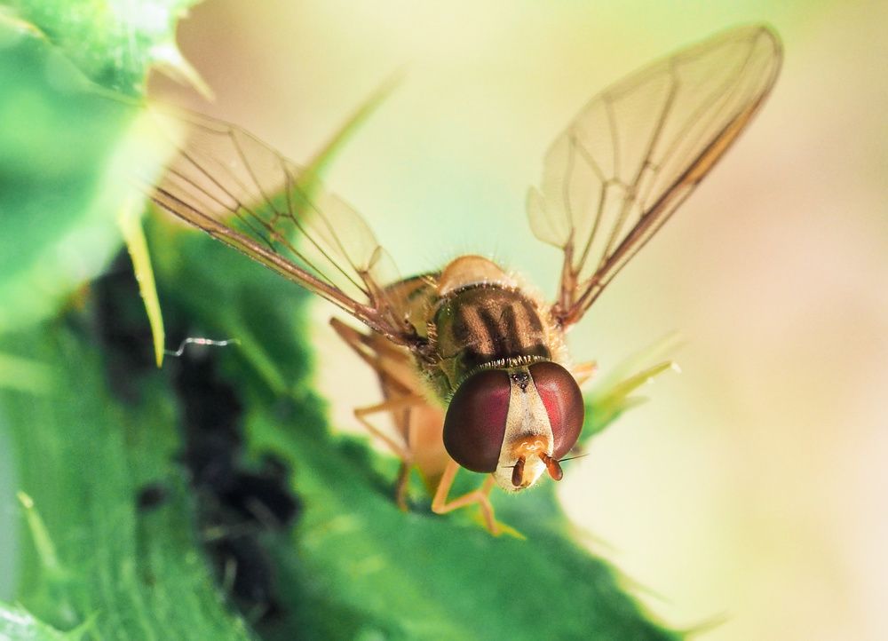 Photograph by Ирина Протченко