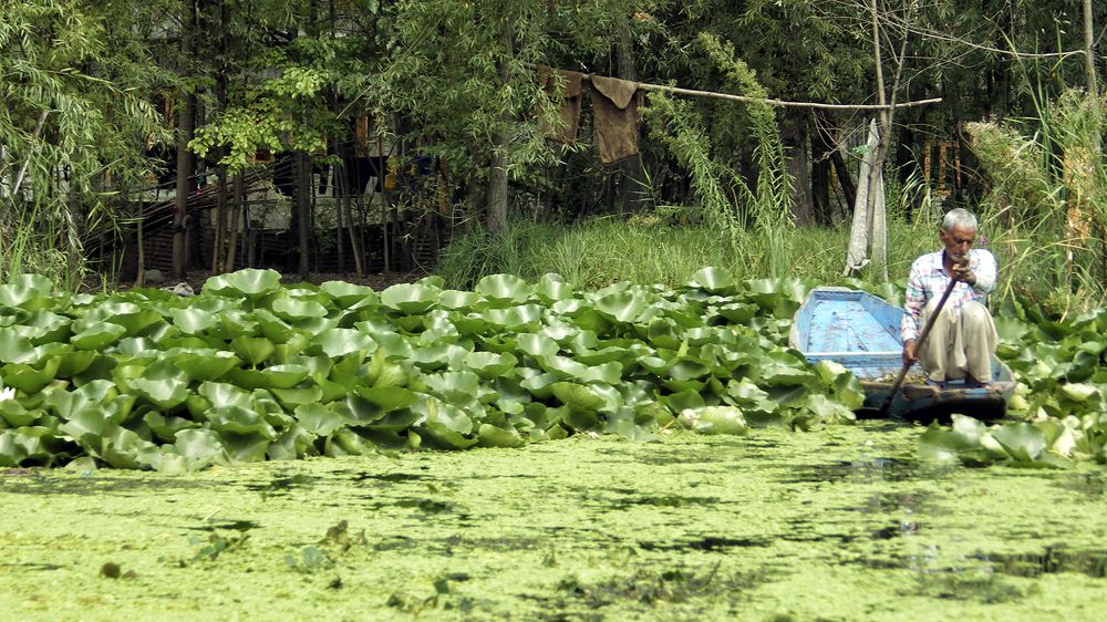 Photograph by Лев Левинсон