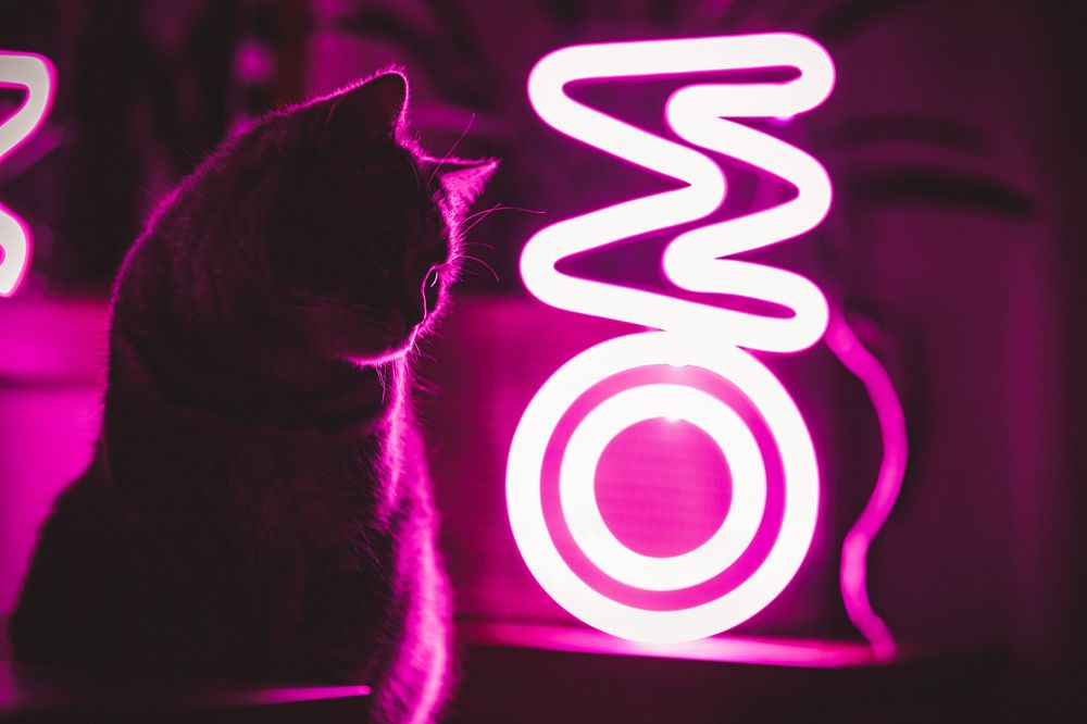 Photograph by Ярослав Зубков