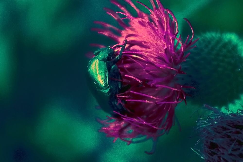 Photograph by Roman Popov