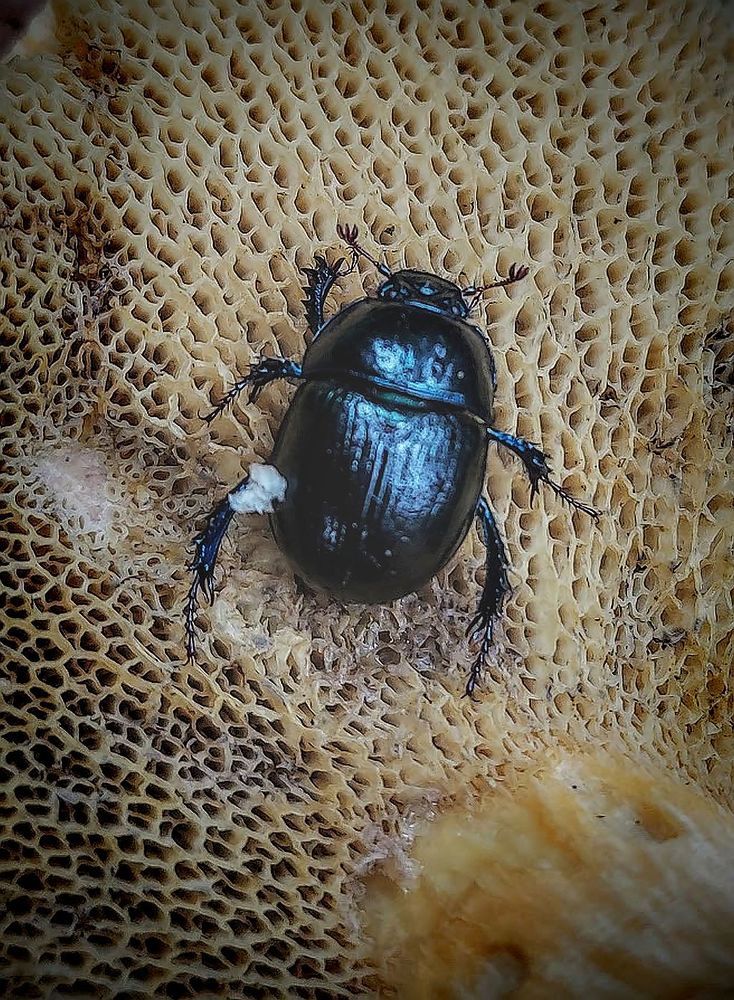 Photograph by Epp Tappel