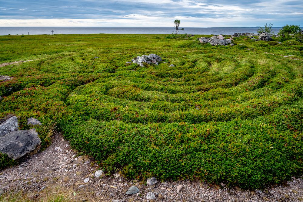 Фотография автора Андрей Васильев