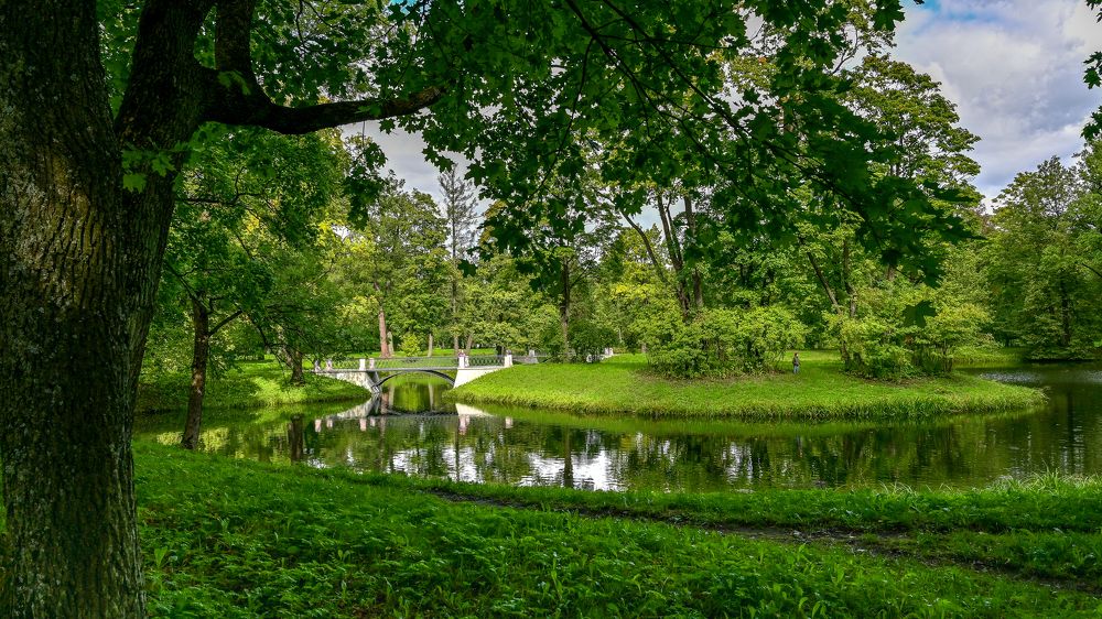 Фотография автора Андрей Васильев