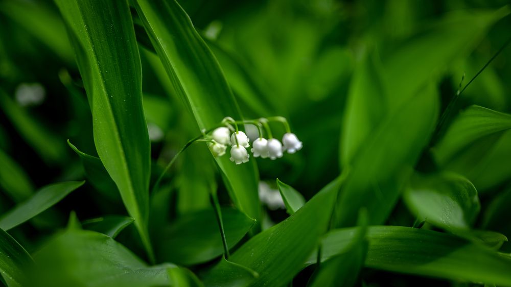 Фотография автора Андрей Васильев