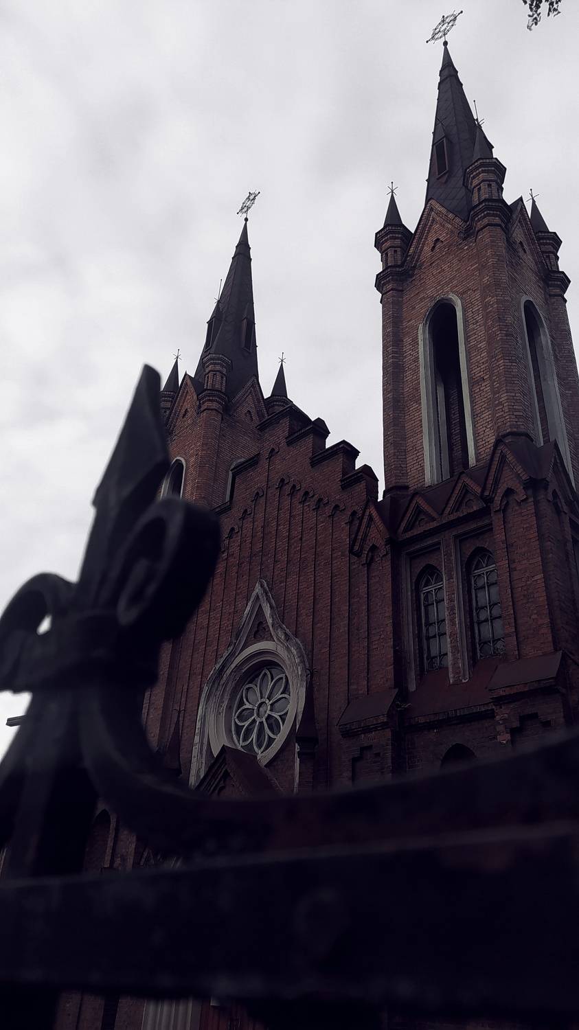 Photo #8004731