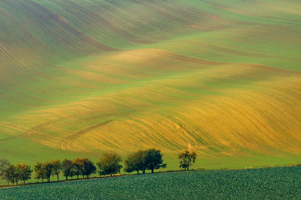 Photograph by Ivars Salmanis