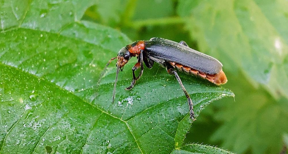 Photograph by Epp Tappel