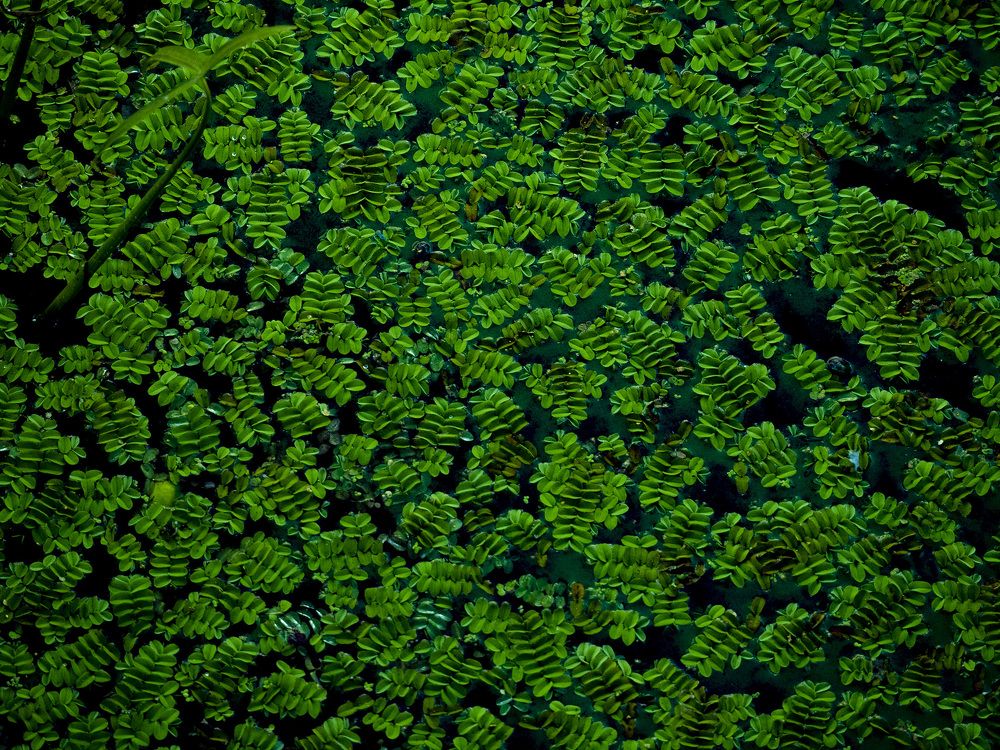 Photograph by Дмитрий Потапов