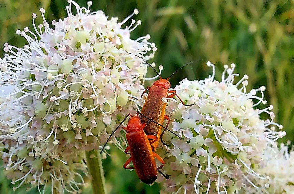 Photograph by Epp Tappel