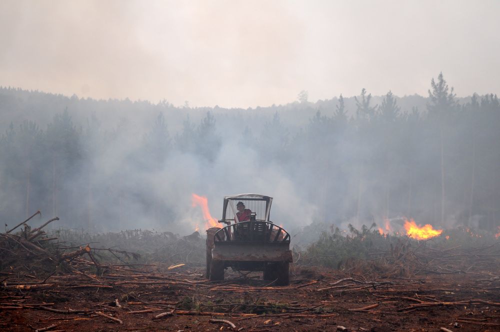 Photograph by Ricardo Kimmich