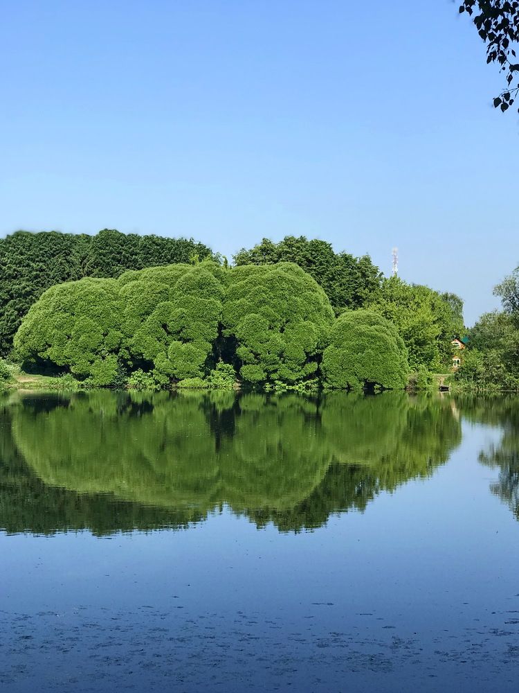 Photograph by Олег Раков