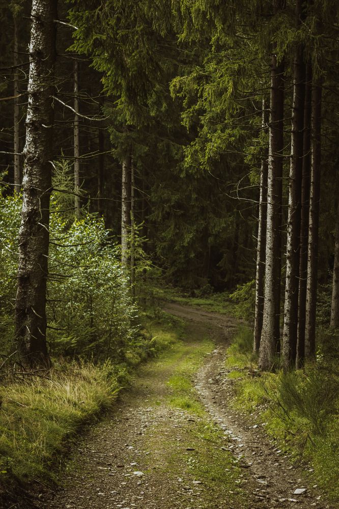 Photograph by Irina Chekanov