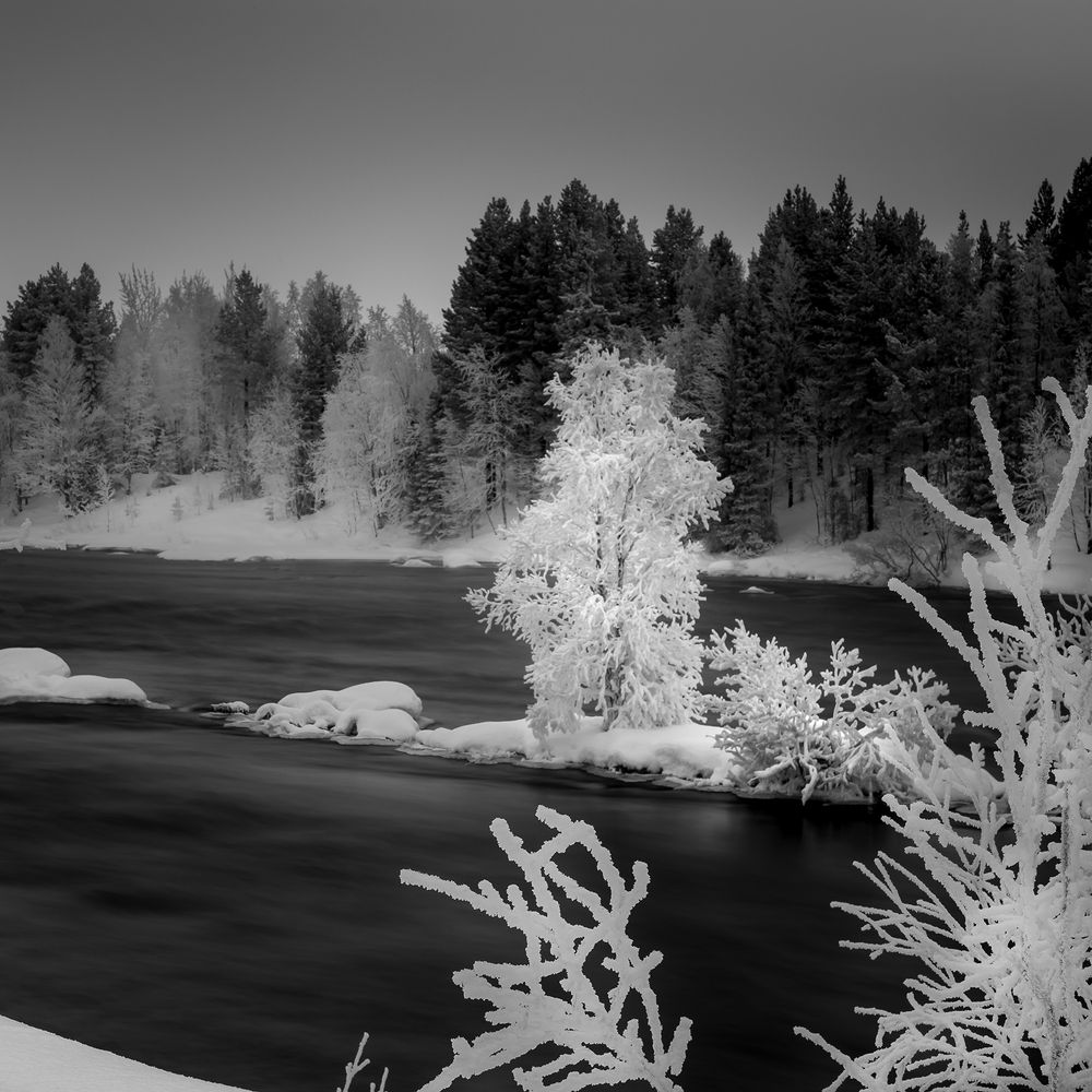 Photograph by Константин Гончаров