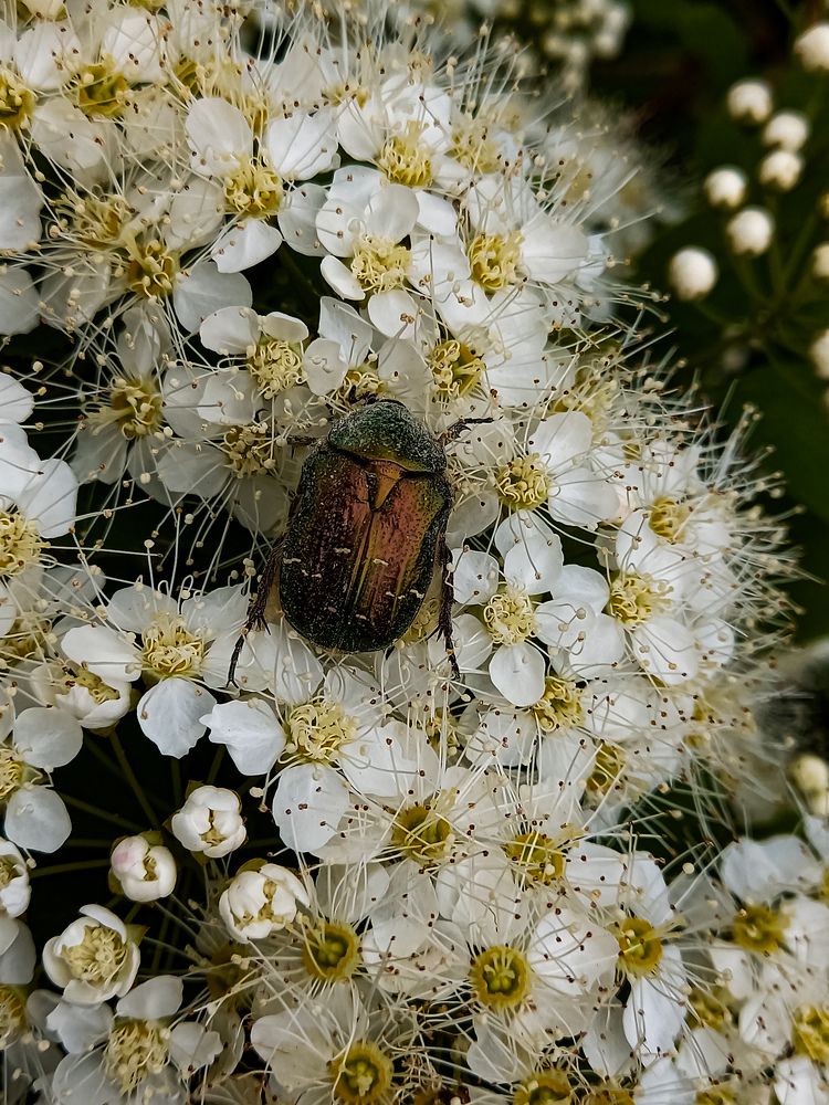 Photograph by Svetlana Yurasova