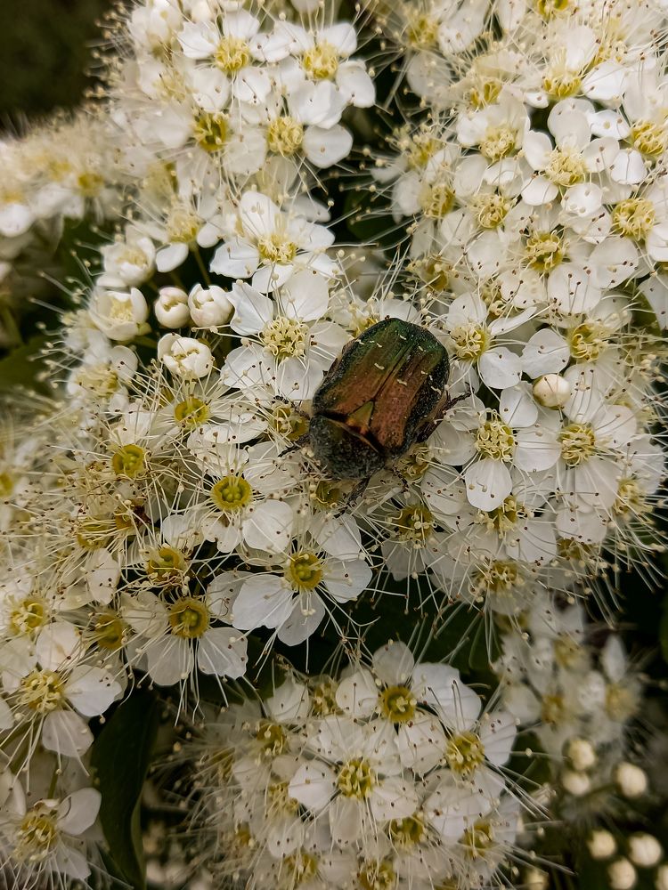 Photograph by Svetlana Yurasova