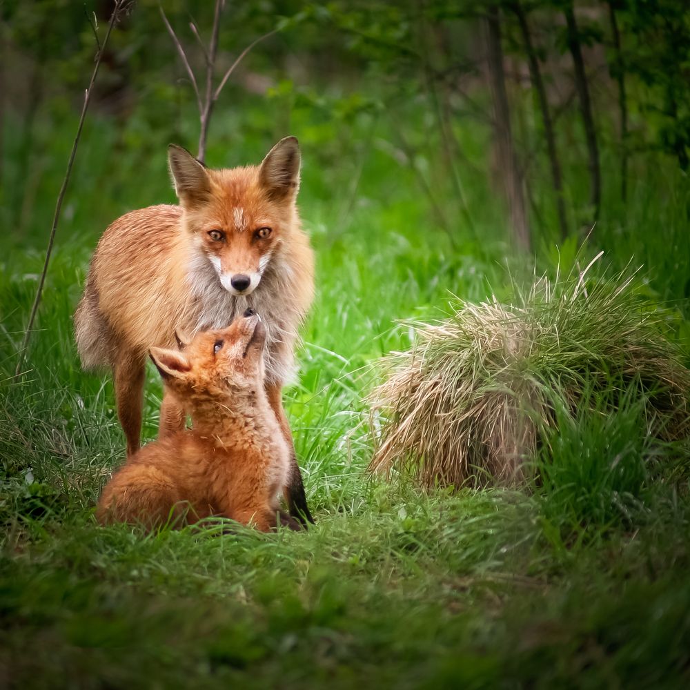 На прогулке