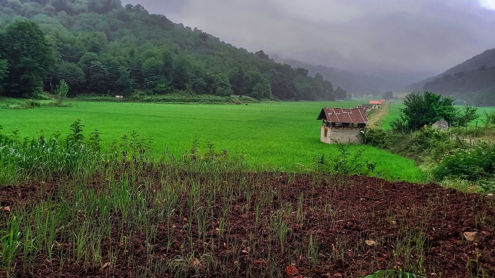Photograph by mahdi ghanbari