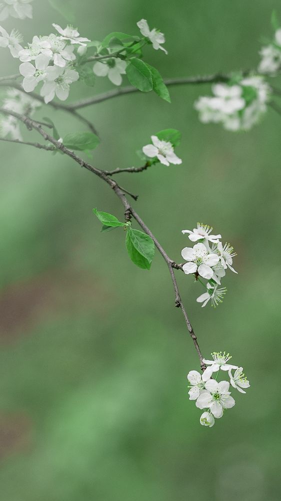 Photograph by Наталья Гришаева