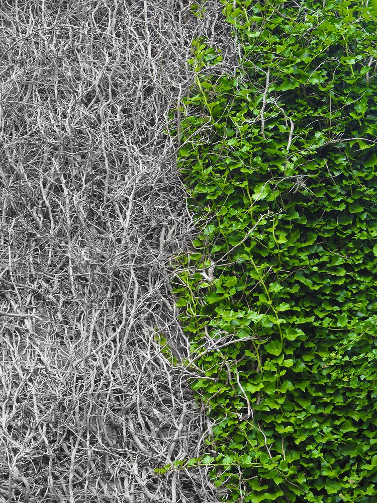 Photograph by Дмитрий Потапов