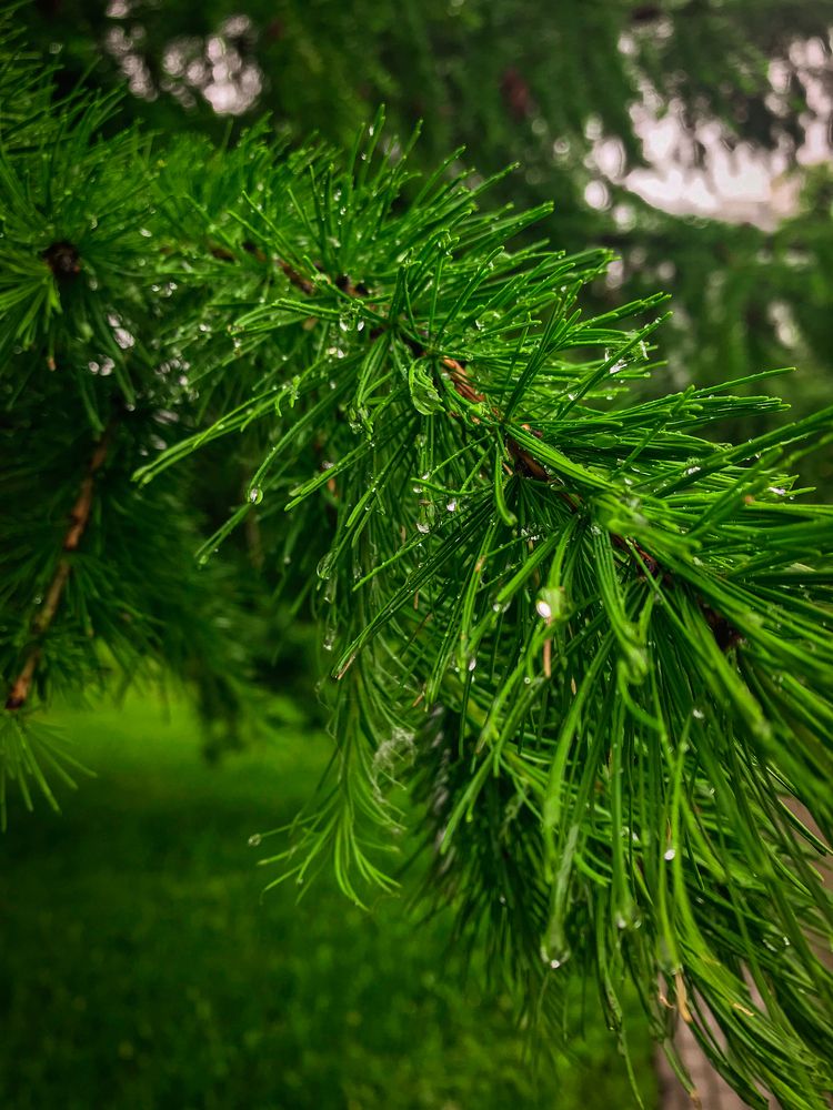 Photograph by Сергей Бойко