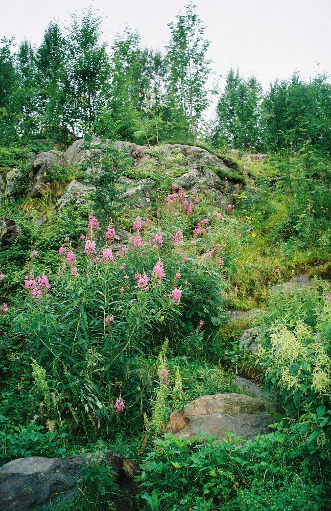 Photograph by Валерия Кутуева