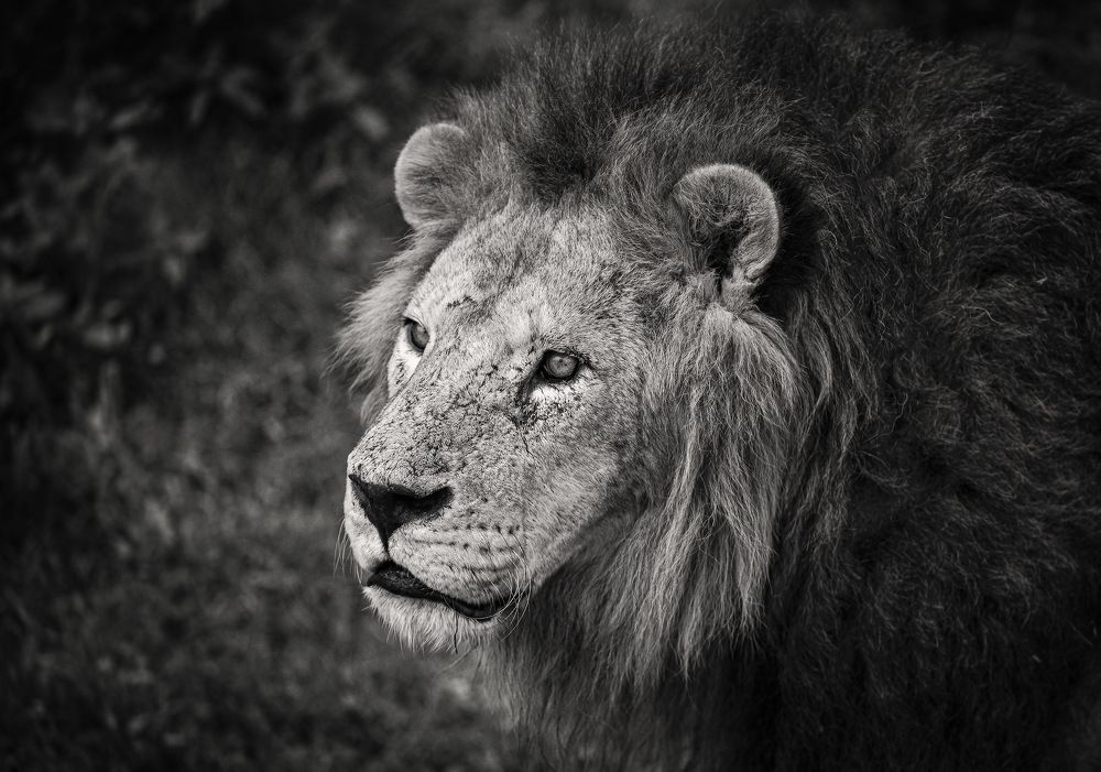 Photograph by Борис Пирог