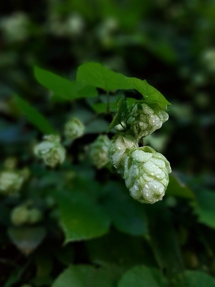 Photograph by Гельфман Галина