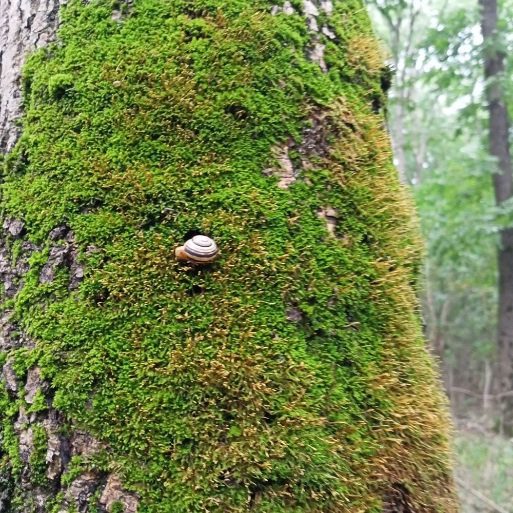 Photograph by Адамян Анна