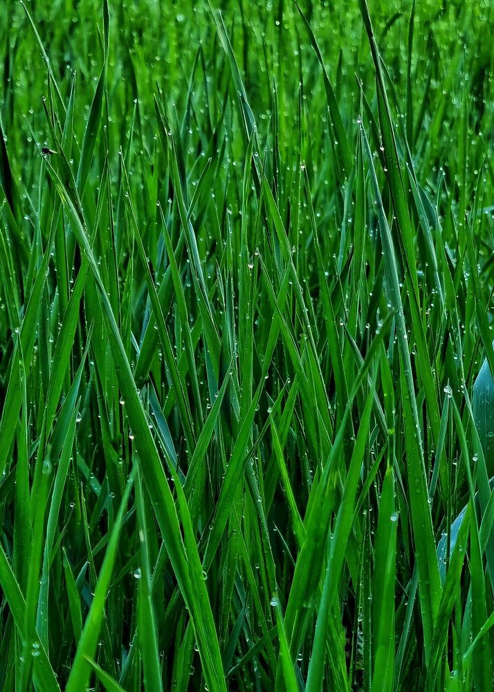 Photograph by Гельфман Галина