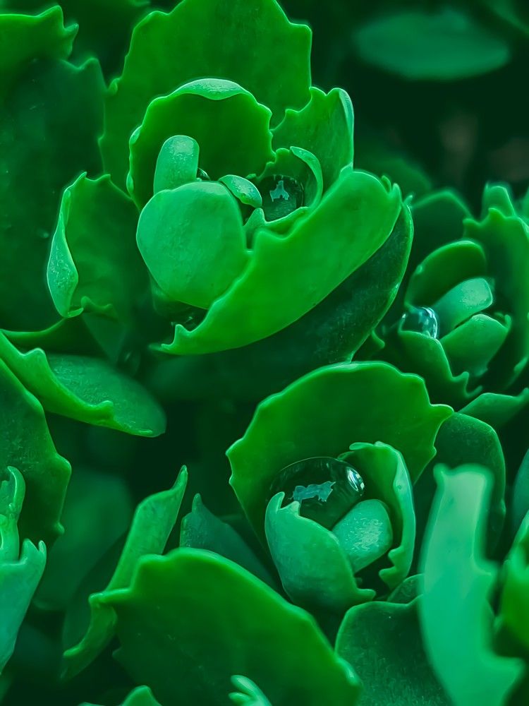 Photograph by Гельфман Галина