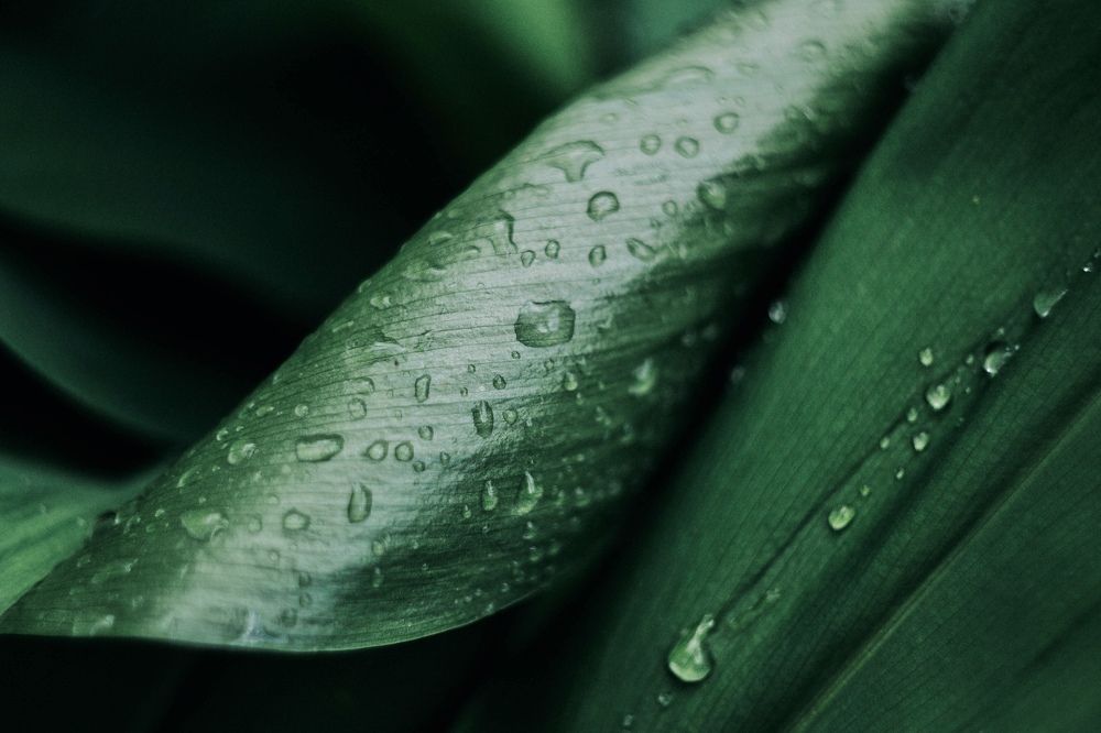 Photograph by Рафаэль Грузнов