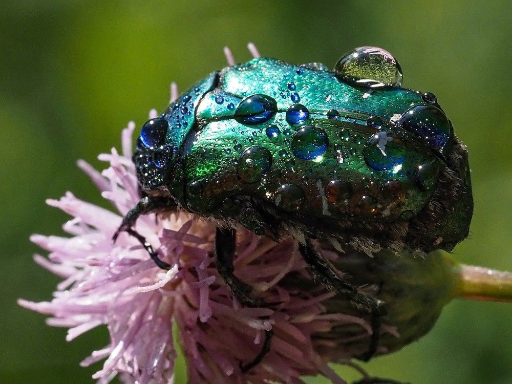 Photograph by Сергей Духанин