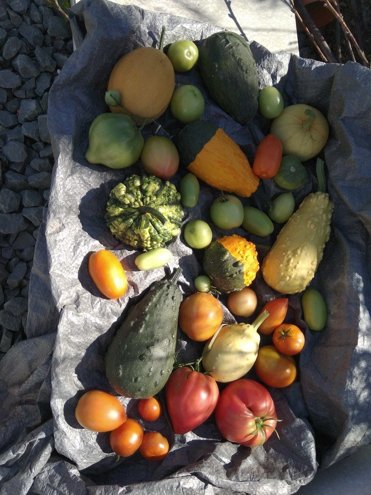 Photograph by Татьяна Ситникова