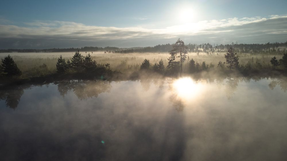 Soaring above the mist