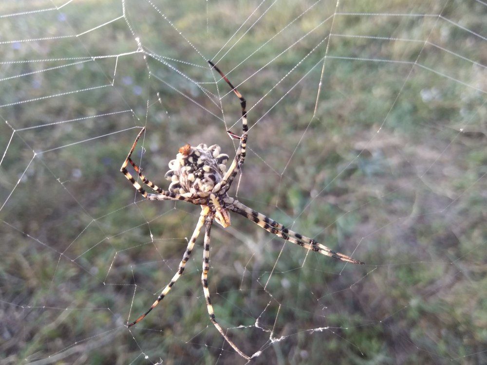 Photograph by Татьяна Ситникова