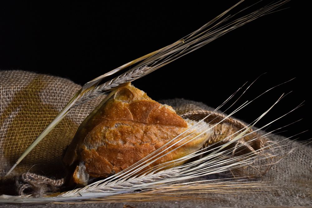 Photograph by Дмитрий Батраков