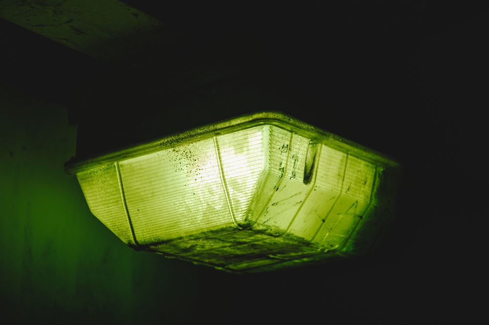 Photograph by Ярослав Зубков